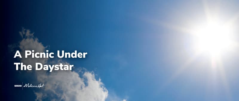 A Picnic Under The Daystar