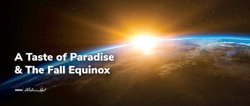 A Taste of Paradise & The Fall Equinox
