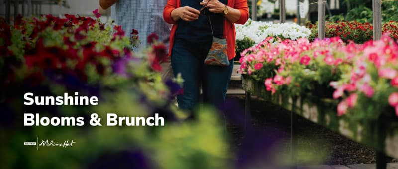 Sunshine Blooms & Brunch
