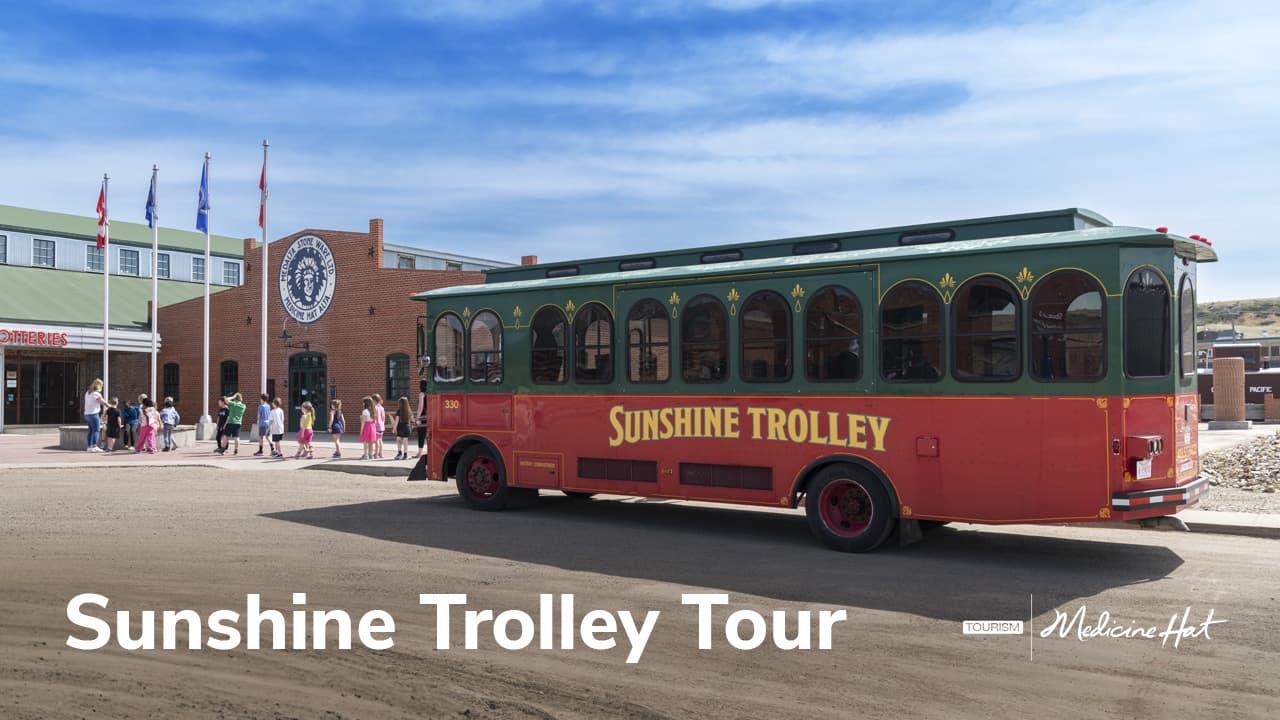 Walking History on the Saratoga Trail (Aug 9)